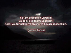 Ya tam açacaksın yüreğini, ya da hiç yeltenmeyeceksin!