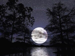 “Sabret ki herşey hissettiğin kadar derin ve sonsuz olsun. Sabret ki herşey gönlünce olsun.”  Mevlana Celaleddin-i Rumi (k.s)