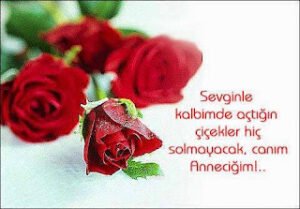 Kelimelerle Anlatılmayan Fedalkarlık ve Karşılıksız Sevgiyi Tarif Et Deseler Bana Herhalde Sadece ”Annem” Derim..