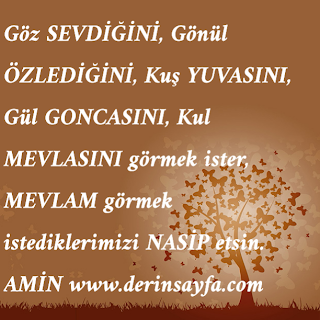 Göz SEVDİĞİNİ, Gönül ÖZLEDİĞİNİ,  Kuş YUVASINI, Gül GONCASINI, Kul MEVLASINI görmek ister, MEVLAM görmek istediklerimizi NASİP etsin. AMİN
