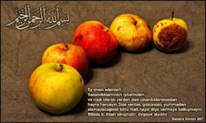 Ey iman edenler! Kazandıklarınızın iyilerinden ve yerden sizin için çıkardıklarımızdan Allah yolunda harcayın