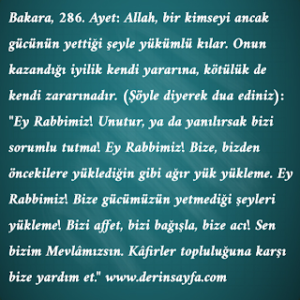 Ey Rabbimiz! Bize gücümüzün yetmediği şeyleri yükleme!…(Bakara