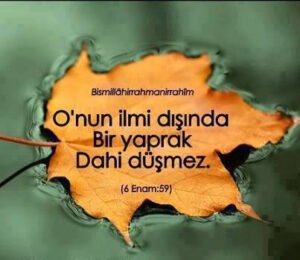 O’nun ilmi dışında bir yaprak bile düşmez…Bir yaprak düşmez ki; onu bilmesin.En’âm; 59