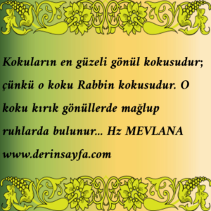 Kokuların en güzeli gönül kokusudur; çünkü o koku Rabbin kokusudur. O koku kırık gönüllerde mağlup ruhlarda bulunur…  Hz MEVLANA