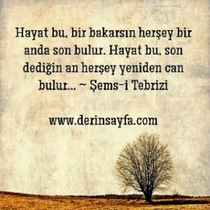 Hayat bu, bir bakarsın herşey bir anda son bulur. Hayat bu, son dediğin an herşey yeniden can bulur…  ~ Şems