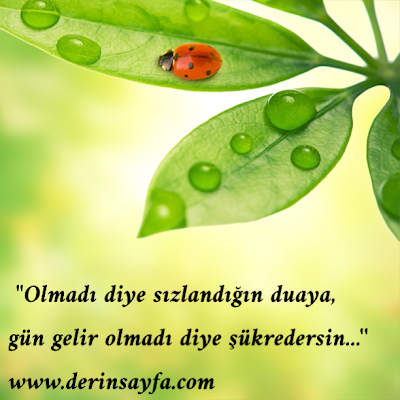 “Olmadı diye sızlandığın duaya, gün gelir olmadı diye şükredersin…”