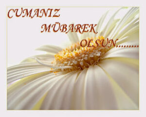 Allah aşkı neler yaptırmaz ki insana? Bir can değil, binlercesi feda olsun yoluna. Cumanız Mübarek Olsun…