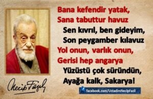 Yol onun, varlık onun, gerisi hep angarya Yüzüstü çok süründün, ayağa kalk, Sakarya!..”