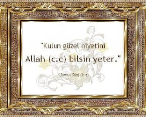 Kulun güzel niyetini Allah bilsin yeter.. Gavs