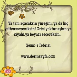 Ya tam açacaksın yüreğini, ya da hiç yeltenmeyeceksin! Grisi yoktur aşkın;ya siyahi,ya beyazı seçeceksin..  Şems