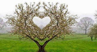 Hayat dermiş ki Sevdiğin insanda arayacağın ilk şey iyi niyet olmalıdır