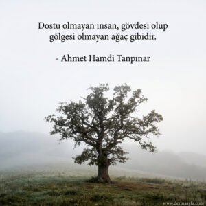 Dostu olmayan insan, gövdesi olup gölgesi olmayan ağaç gibidir