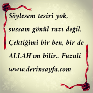 Söylesem tesiri yok, sussam gönül razı değil. Çektiğimi bir ben, bir de ALLAH’ım bilir..