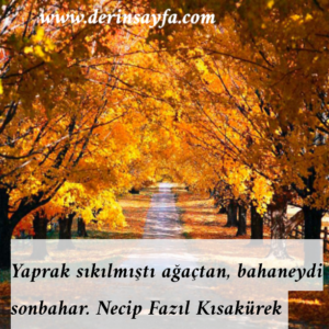Yaprak sıkılmıştı ağaçtan, bahane idi sonbahar.
