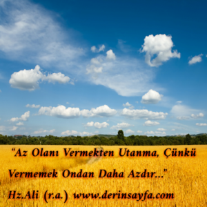 “Az Olanı Vermekten Utanma, Çünkü Vermemek Ondan Daha Azdır…”  Hz.Ali (r.a.)