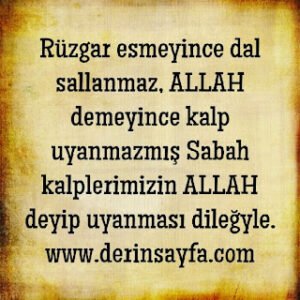 Rüzgar esmeyince dal sallanmaz, ALLAH demeyince kalp uyanmazmış Sabah kalplerimizin  ALLAH deyip uyanması dileğyle.