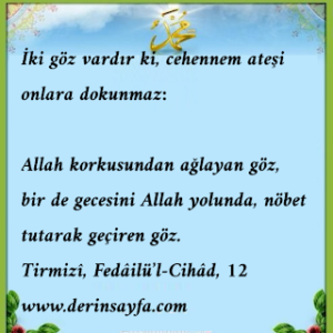 iki göz vardır ki, cehennem ateşi onlara dokunmaz: allah korkusundan ağlayan göz, bir de gecesini allah yolunda, nöbet tutarak geçiren göz