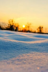 Dedim ya;
Şehre kar,
İçime hâr düşer bu mevsimde…
…Faruk Yiğit Araz