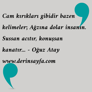 Cam kırıkları gibidir bazen kelimeler; Ağzına dolar insanın. Sussan acıtır, konuşsan kanatır…  – Oğuz Atay