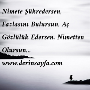 Nimete şükredersen, fazlasını bulursun. Aç gözlülük edersen, nimetten de olursun… Necip Fazıl Kısakürek