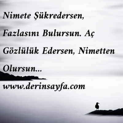 Nimete şükredersen, fazlasını bulursun. Aç gözlülük edersen, nimetten de olursun… Necip Fazıl Kısakürek