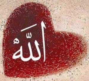 ALLAH’ın rahmeti, bereketi, hidayeti sizin ve sevdiklerinizin üzerine olsun… CUMANIZ MÜBAREK OLSUN