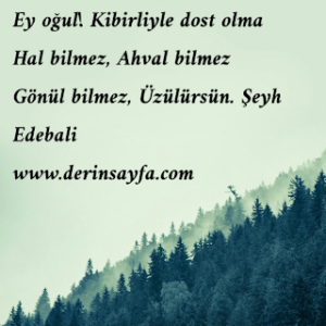 Ey oğul! Kibirliyle dost olma Hal bilmez, Ahval bilmez Gönül bilmez, Üzülürsün