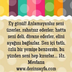 Ey gönül! Anlamayanlar seni üzerler, rahatsız ederler; hatta seni deli, divane ederler, elini ayağını bağlarlar. Sen içi tatlı, özlü bir yemişe benzersin,  bu yüzden  seni hep kırarlar…  Hz