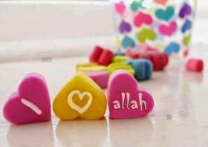 “Haset ettiği vakit hasetçinin şerrinden Allah’a sığınırım.” (felâk 5)