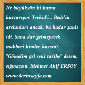 Sana dar gelmeyecek makberi kimler kazsın? “Gömelim gel seni tarihe” desem, sığmazsın.  Mehmet Akif ERSOY