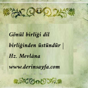 Gönül birliği dil birliğinden üstündür