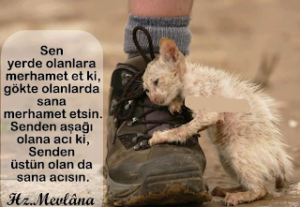 Sen yerde olanlara merhamet etki gökte olanda sana merhamet etsin. Senden aşağı olana acı ki, senden üstün olan sana acısın