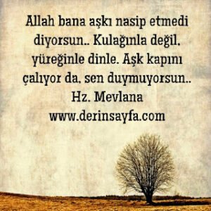 Allah bana aşkı nasip etmedi diyorsun.. Kulağınla değil, yüreğinle dinle. Aşk kapını çalıyor da, sen duymuyorsun..  Hz. Mevlana