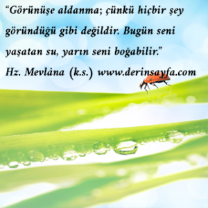 “Görünüşe aldanma; çünkü hiçbir şey göründüğü gibi değildir. Bugün seni yaşatan su, yarın seni boğabilir.” Hz. Mevlâna