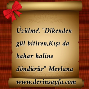 Üzülme! “Dikenden gül bitiren,Kışı da bahar haline döndürür”