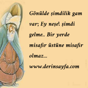 Gönülde şimdilik gam var; Ey neşe! şimdi gelme.. Bir yerde misafir üstüne misafir olmaz…