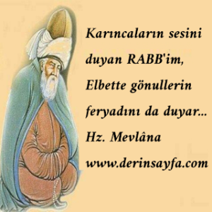 Karıncaların sesini duyan RABB’im, Elbette gönullerin feryadını da duyar…  Hz. Mevlâna