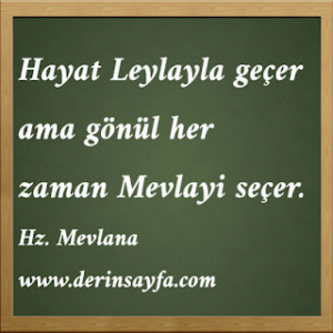 Hayat Leyla’yla geçer ama gönül her zaman Mevla’yi seçer.. Leyla belki bırakıp gider ama ne biz Mevla’dan ne de ‘O’ bizden Vazgeçer..  Hz.Mevlana