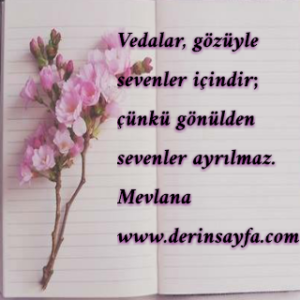 Vedalar, gözüyle sevenler içindir; çünkü gönülden sevenler ayrılmaz.