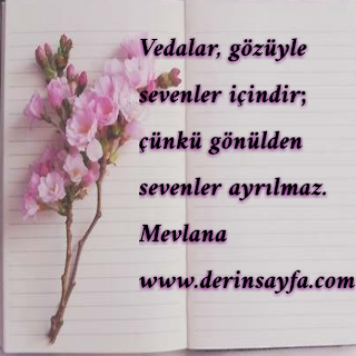 Vedalar, gözüyle sevenler içindir; çünkü gönülden sevenler ayrılmaz.