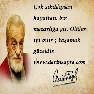 Çok sıkıldıysan hayattan, bir mezarlığa git. Ölüler iyi bilir ; Yaşamak güzeldir.