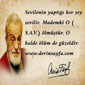 Sevilenin yaptığı her şey sevilir.  Mademki O ( S.A.V.) ölmüştür. O halde ölüm de güzeldir.