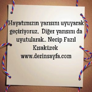 Hayatımızın yarısını uyuyarak geçiriyoruz,  Diğer yarısını da uyutularak..