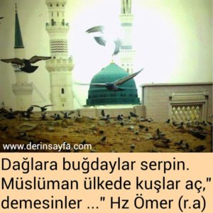 Dağlara buğdaylar serpin.
Müslüman ülkede kuşlar aç,"demesinler …"
Hz Ömer (r.a)