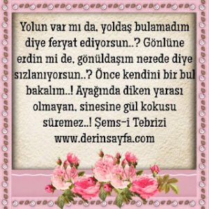 Yolun var mı da, yoldaş bulamadım diye feryat ediyorsun..?