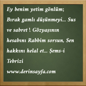 Ey benim yetim gönlüm; Bırak gamlı düşünmeyi… Sus ve sabret ! Gözyaşının hesabını Rabbim sorsun, Sen hakkını helal et…  Şems
