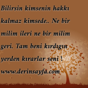 Bilirsin kimsenin hakkı kalmaz kimsede.. Ne bir milim ileri ne bir milim geri. Tam beni kırdıgın yerden kırarlar seni !