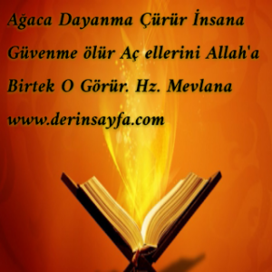 Ağaca Dayanma Çürür İnsana Güvenme ölür Aç ellerini Allah’a Birtek O Görür.