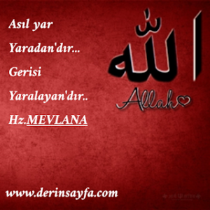 Asıl yar Yaradan’dır… Gerisi Yaralayan’dır..  Hz.MEVLANA.