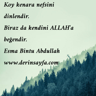 Koy kenara nefsini dinlendir. Biraz da kendini ALLAH’a beğendir